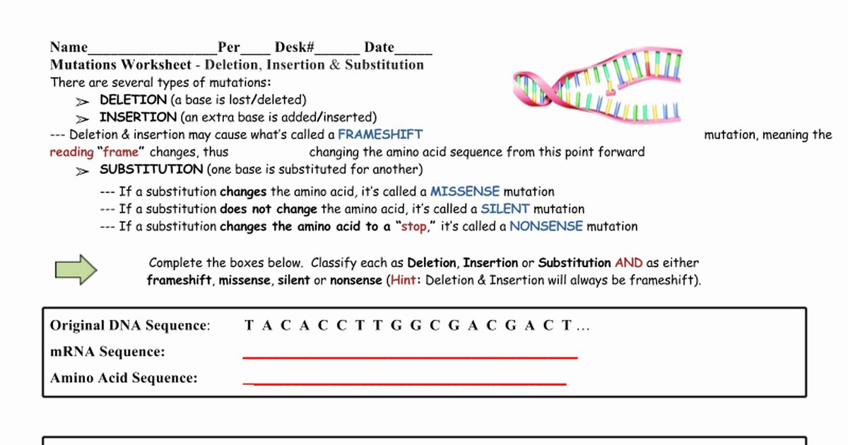 Gene and Chromosome Mutation Worksheet New Gene Mutations Worksheet