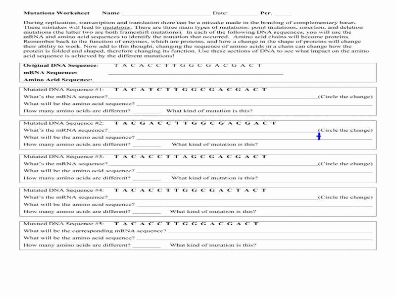 50 Gene and Chromosome Mutation Worksheet | Chessmuseum Template Library