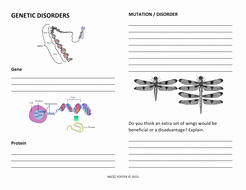 Genetic Mutation Worksheet Answer Key Lovely Genetic Disorders Mistakes In the Dna Code Dna Mutations