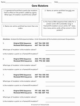 Genetic Mutation Worksheet Answer Key Unique Gene Mutations Worksheet for Review or assessment by