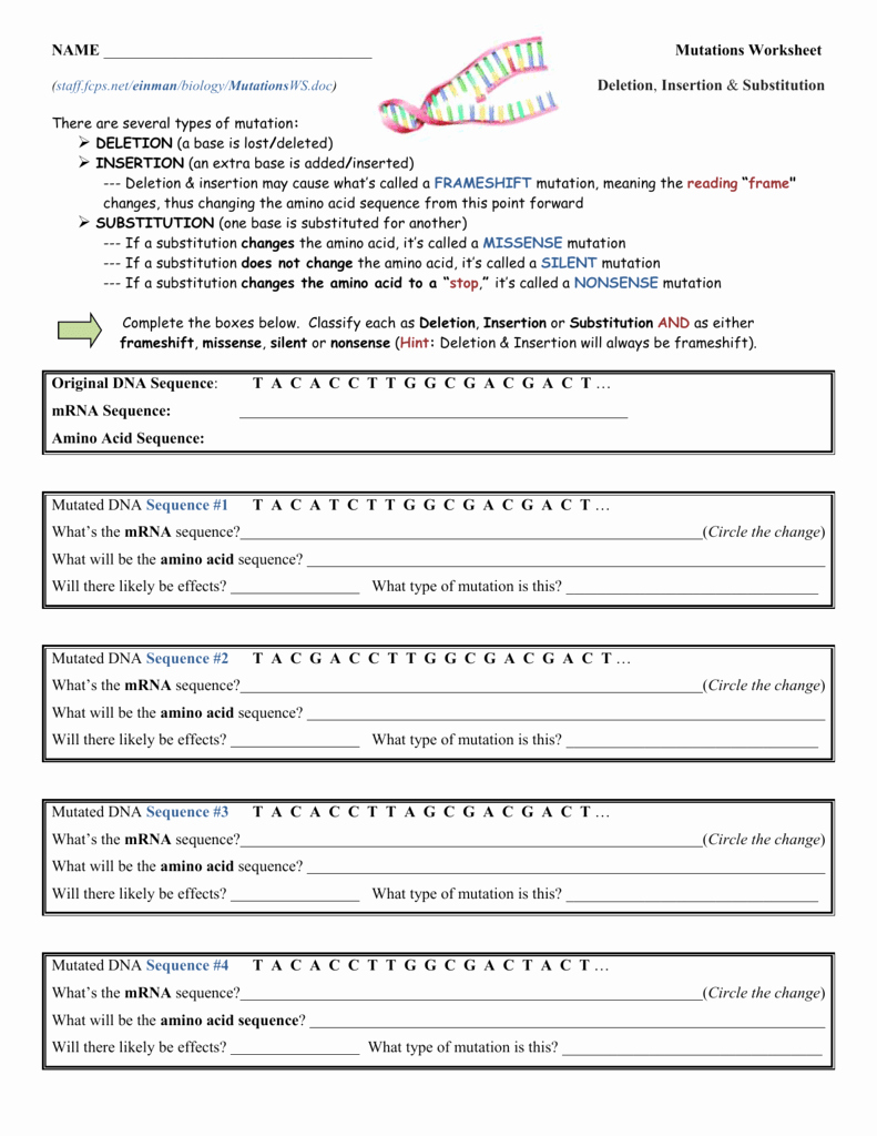 50 Genetic Mutations Worksheet Answer Key | Chessmuseum Template Library