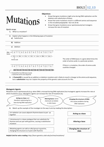 Genetic Mutations Worksheet Answer Key Fresh Mutations and Cancer by Collierlh