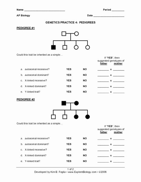 Genetics Pedigree Worksheet Answers Inspirational Genetics Practice 4 Pedigrees Worksheet for 9th 12th