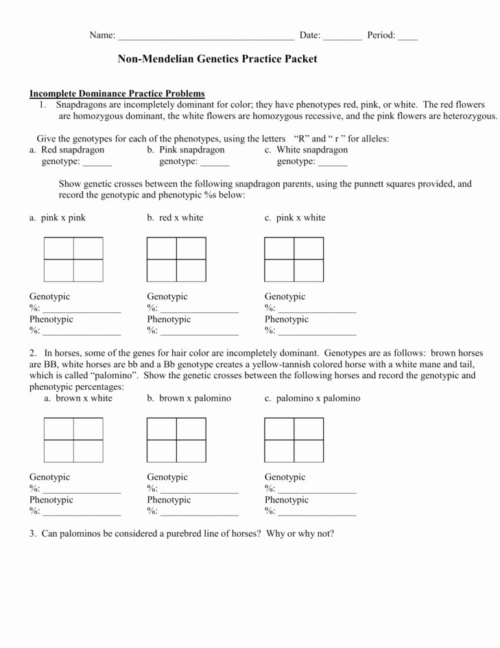 Genetics Practice Problem Worksheet Awesome Genetics Practice Problems Worksheet