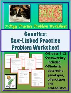 Genetics Practice Problem Worksheet Unique Monohybrid Cross Worksheet Genetics Practice Problems