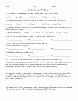 Genetics Practice Problems Simple Worksheet Awesome 3 04quiz