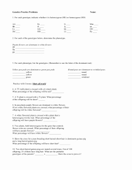 Genetics Practice Problems Simple Worksheet Awesome Genetics Practice Answer Key