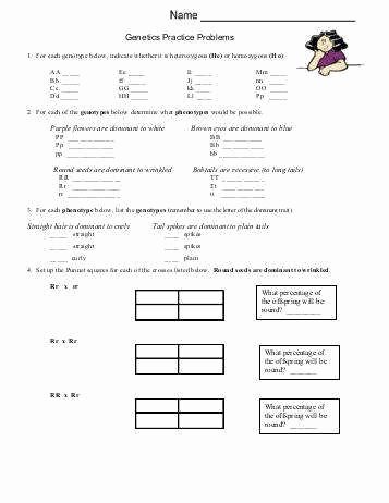 Genetics Practice Problems Simple Worksheet Best Of Genetics Problems Worksheet
