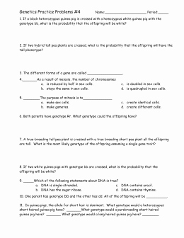 Genetics Practice Problems Simple Worksheet Elegant File