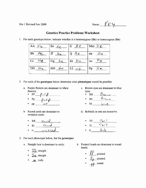 Genetics Practice Problems Simple Worksheet Lovely Genetics Practice Problems Worksheet Key Ppt
