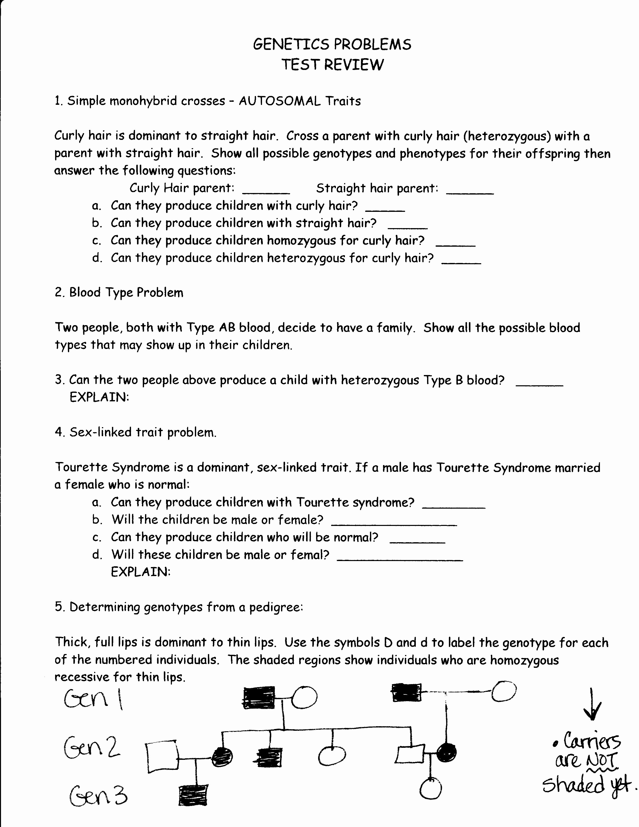 50 Genetics Practice Problems Simple Worksheet Chessmuseum Template 