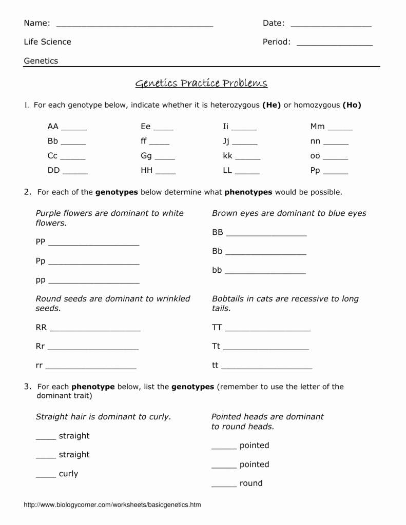 Genetics Practice Problems Worksheet Answers Awesome Worksheet Genetics Practice Problems Worksheet Answers