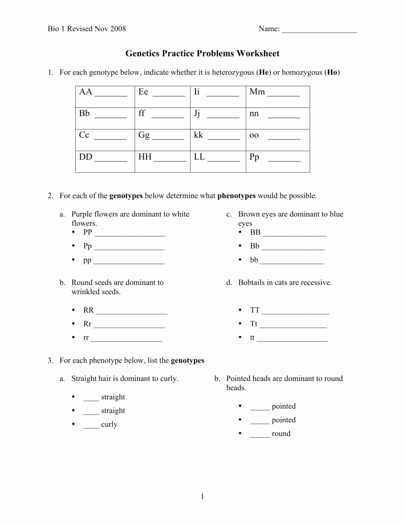 Genetics Practice Problems Worksheet Answers New Worksheet Genetics Practice Problems Worksheet Answers