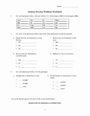 Genetics Practice Problems Worksheet Answers Unique Geneticsanswers1 G Enetics P Roblem S Et I A Nswers 1