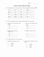 Genetics Practice Problems Worksheet Awesome Genetics Practice Problems Name Genetics Practice