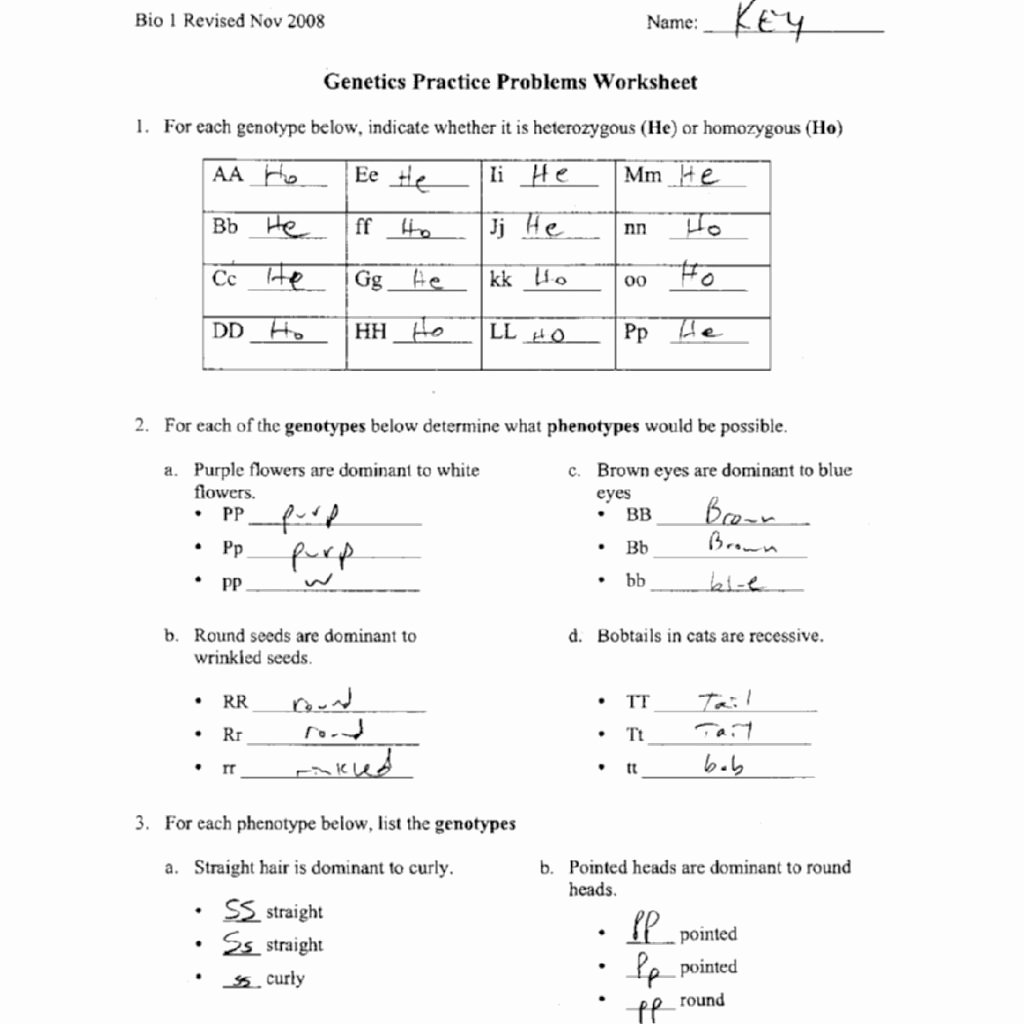 Genetics Practice Problems Worksheet Lovely Genetics Practice Problems Worksheets