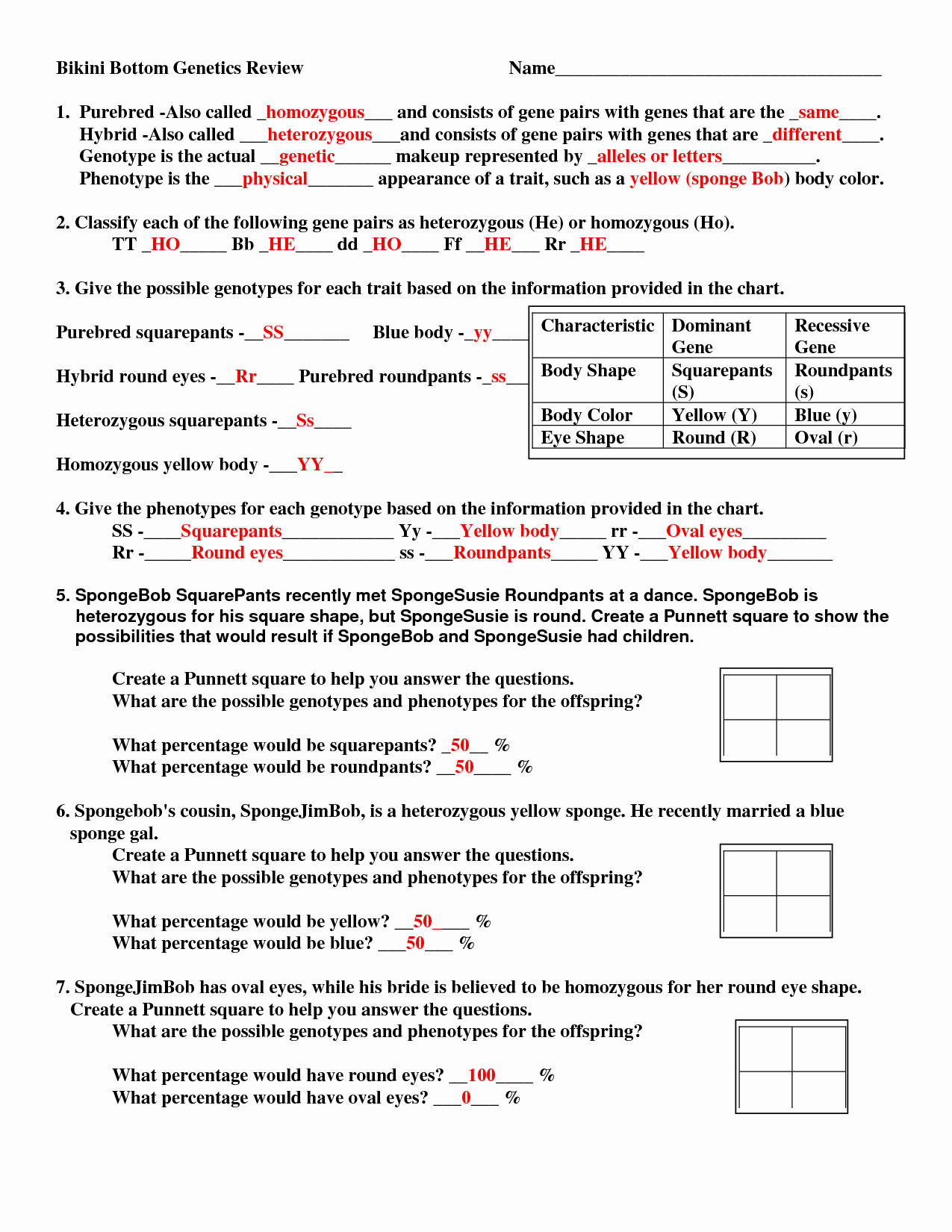 Genetics Problems Worksheet Answer Key