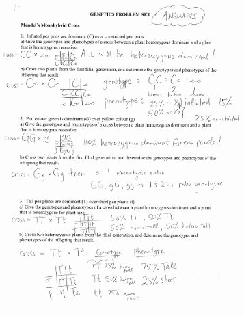 Genetics Problems Worksheet Answers Awesome 1 Genetics Problems Packet