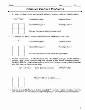 Genetics Problems Worksheet Answers Awesome Genetics Monohybrid Punnett Square Practice Packet 24