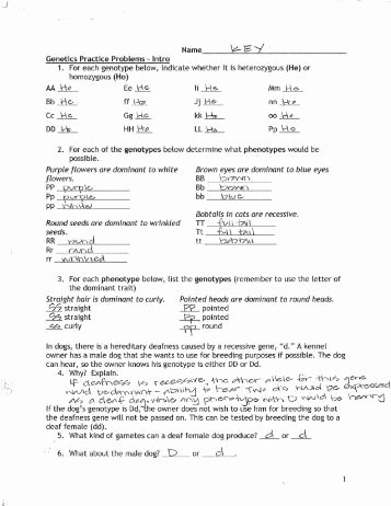 Genetics Problems Worksheet Answers Awesome Genetics Practice Problems Worksheet Key Ppt