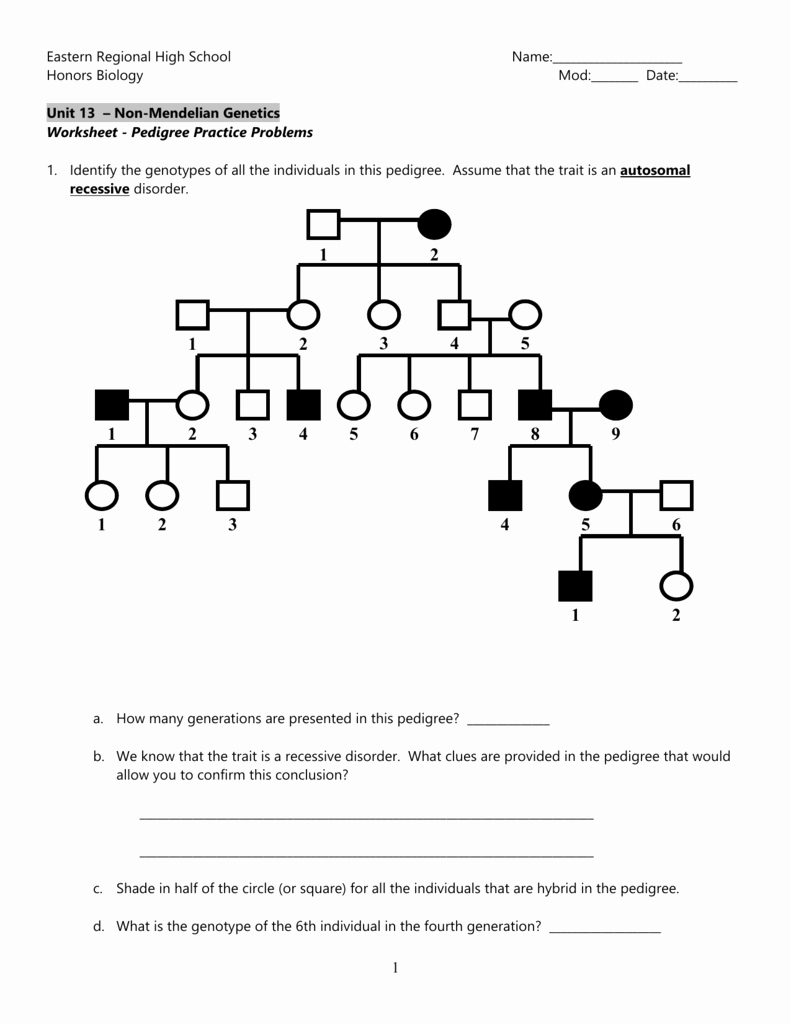 Genetics Pedigree Worksheet Answer Key