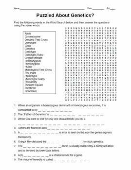 Genetics Worksheet Answer Key Beautiful Mendelian Genetics Vocabulary Review Worksheet by Spyglass