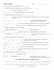 Genetics Worksheet Answer Key Unique Genetics Challenge 9th 12th Grade Worksheet