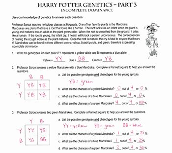 Genetics Worksheet Answers Key Fresh Harry Potter Genetics In Plete Dominance Part 3 Of 3