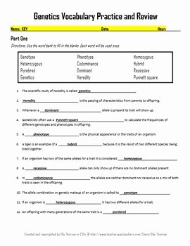 Genetics Worksheet Answers Key Luxury Genetics Vocabulary and Concepts Review Worksheet by Elly