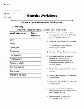 Genetics Worksheet Middle School Awesome Introduction to Genetics Worksheet by Alison Oneal