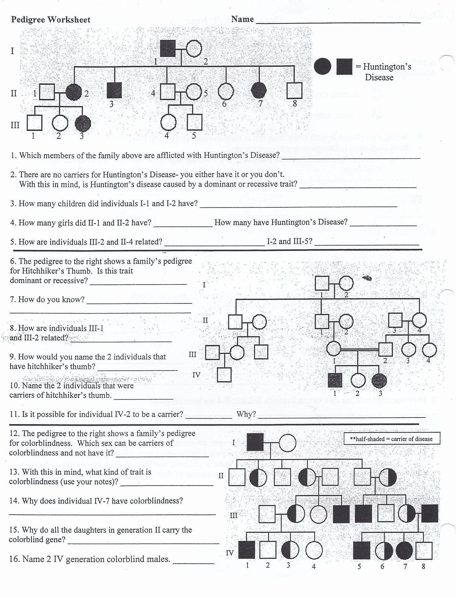 Genetics Worksheet Middle School Elegant Genetic Worksheet Middle School Genetic Best Free