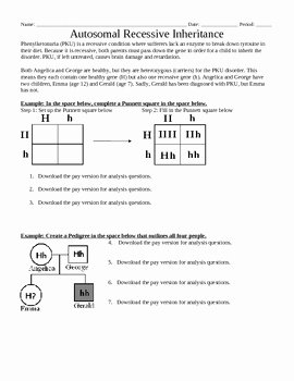 Genetics Worksheet Middle School Unique Genetics Autosomal Recessive Inheritance Punnett Squares