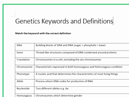 Genetics X Linked Genes Worksheet Awesome Genetics Keywords and Definitions by Mrskirk72