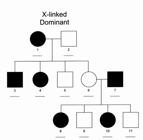 Genetics X Linked Genes Worksheet Lovely Inheritance Patterns Of orthopaedic Syndromes Basic