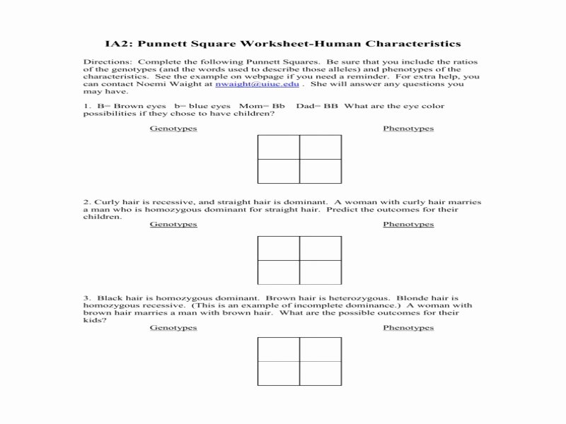 Genotypes and Phenotypes Worksheet Answers Beautiful Genotype and Phenotype Worksheet Answers Free Printable
