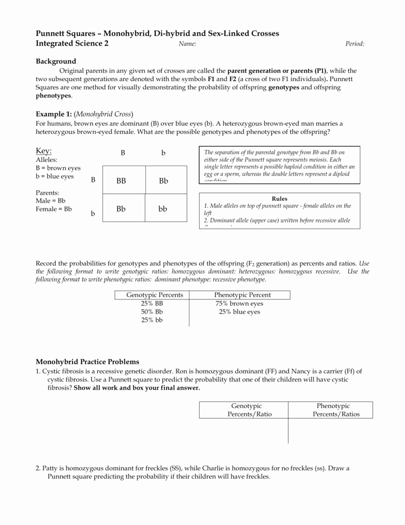 Genotypes and Phenotypes Worksheet Answers Best Of Record the Probabilities for Genotypes and Phenotypes Of the