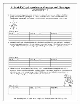 Genotypes and Phenotypes Worksheet Answers Best Of St Patrick S Day Leprechaun Genotype and Phenotype