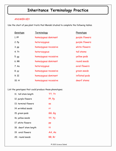 Genotypes and Phenotypes Worksheet Answers Elegant Genotype Phenotype Worksheet the Best Worksheets Image
