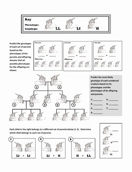Genotypes and Phenotypes Worksheet Answers Inspirational Genotypes and Punnett Squar by Haney Science
