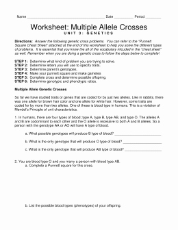 Genotypes and Phenotypes Worksheet Answers Lovely Genotypes &amp; Phenotypes