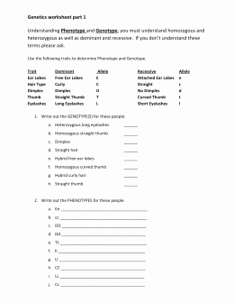 Genotypes and Phenotypes Worksheet Answers Lovely Mendel Heredity and Human Genetics Review
