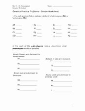 Genotypes and Phenotypes Worksheet Answers Unique Genetics Practice Problems Simple Worksheet Worksheet for