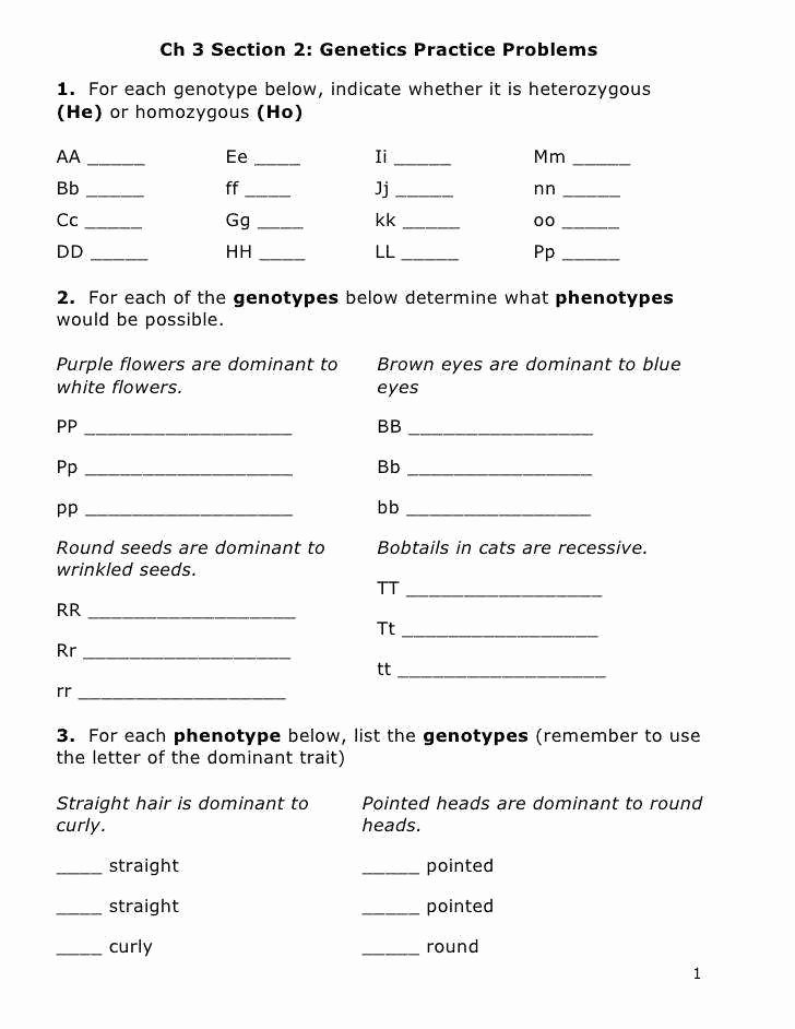 Genotypes and Phenotypes Worksheet Answers Unique Genetics Practice Problems Worksheet