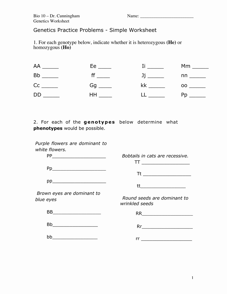Genotypes and Phenotypes Worksheet Awesome Genetics Practice Problems Simple Worksheet He Ho Aa