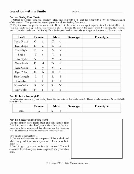 Genotypes and Phenotypes Worksheet Beautiful Genetics with A Smile Worksheet for 8th 10th Grade