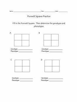 Genotypes and Phenotypes Worksheet Fresh Punnett Squares Blank Templates by Vicki the Science