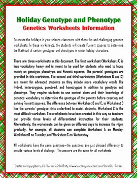 Genotypes and Phenotypes Worksheet Luxury Winter Holiday Genotype and Phenotype Punnett Square
