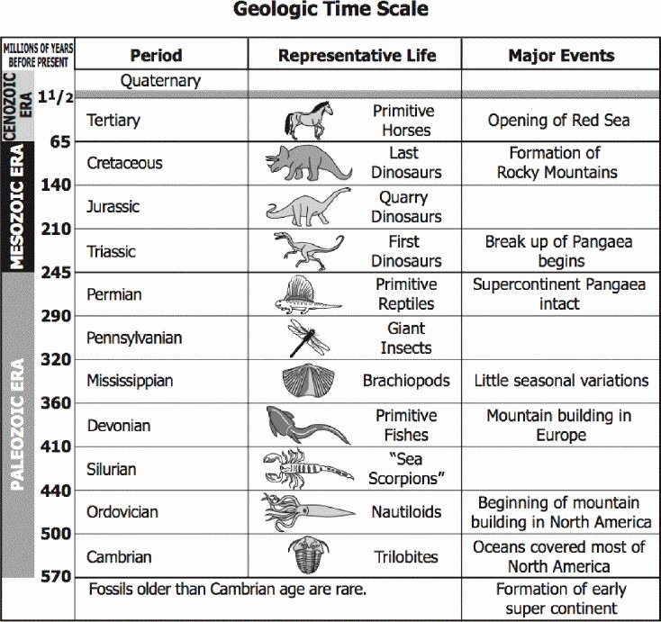 Geological Time Scale Worksheet Awesome Geologic Time Scale Bio