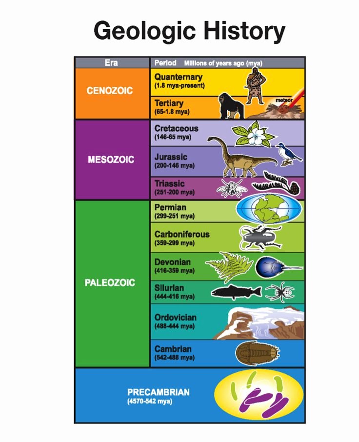 Geological Time Scale Worksheet Unique Time Worksheet New 710 Geologic Time Scale Worksheet