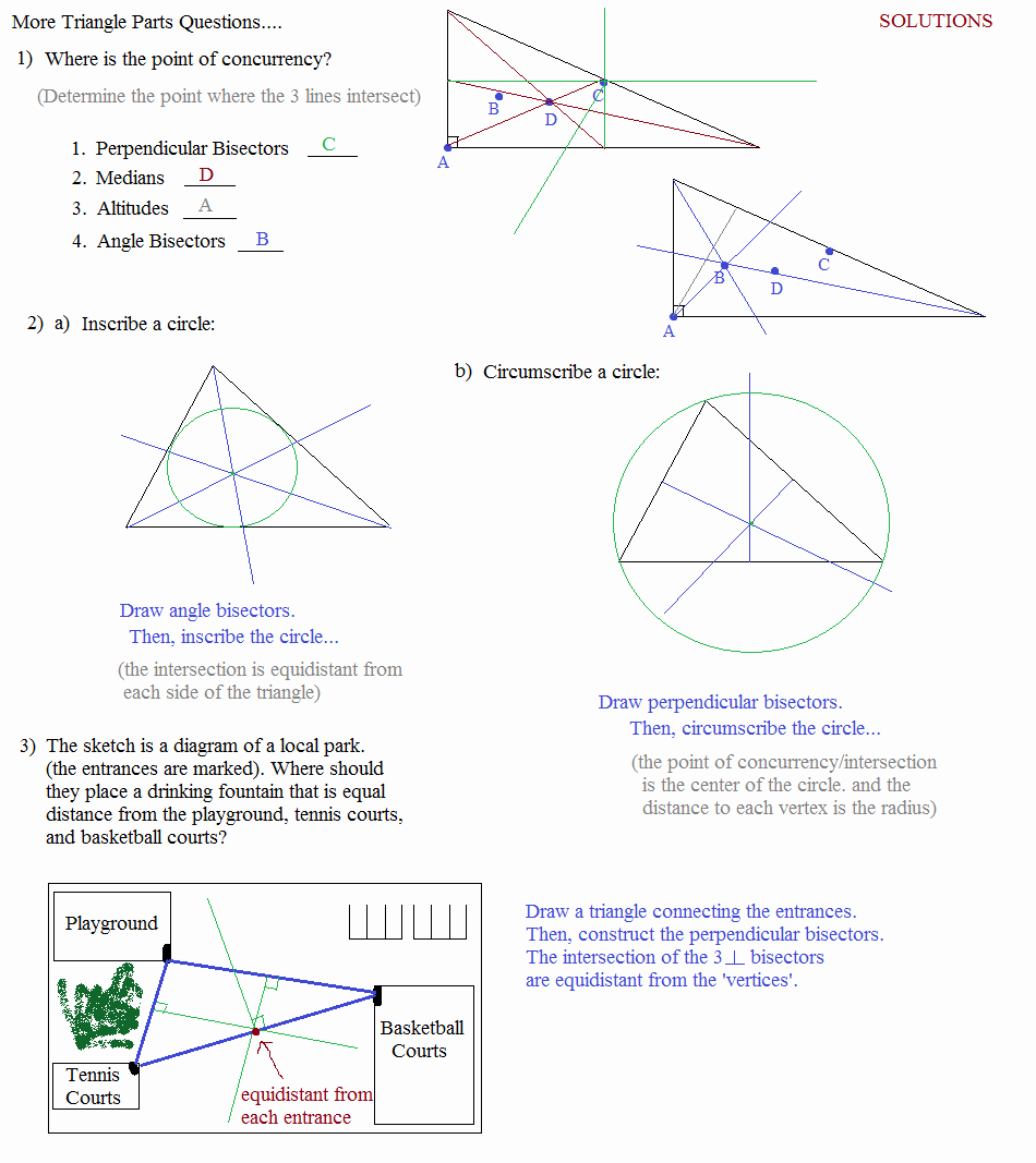 Geometry Points Of Concurrency Worksheet New Math Plane Triangle Parts Median Altitude Bisectors